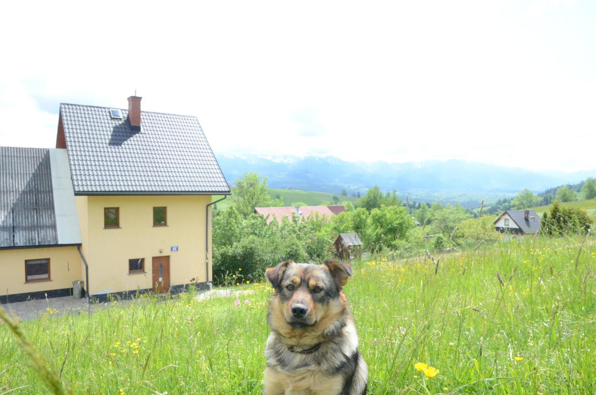 Hotel Wynajem Pokoi Zofia Gal Gliczarow Gorny Exterior foto